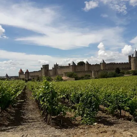 Domaine Fontgrande Gite Carcasona Exterior foto